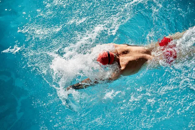 Adult swimmer doing the freestyle stroke