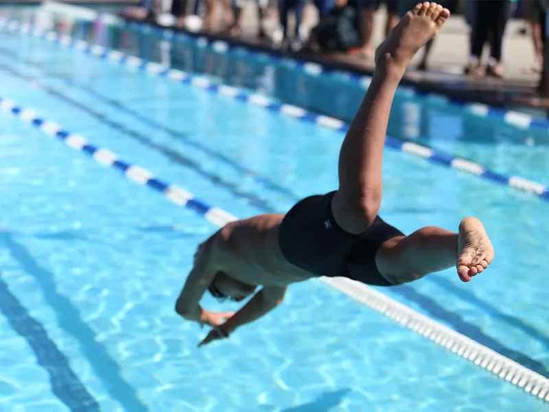 Swimmer diving into a pool lane